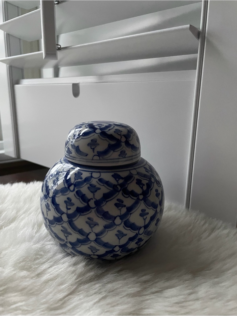 Blue and White Porcelain Ginger Jar